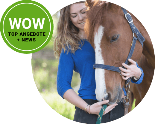 pferd newsletter pferd newsletter